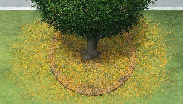 如果你对一切都感到厌倦，不妨看看《意外的幸运签》