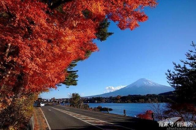 去日本旅行？这些地方不容错过