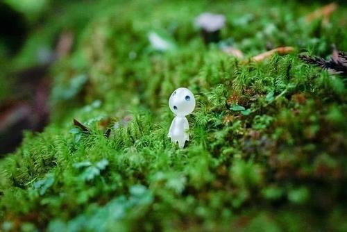 火了！这座小岛，宫崎骏、田馥甄、阮经天都去过！