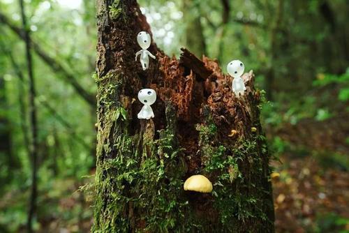 火了！这座小岛，宫崎骏、田馥甄、阮经天都去过！