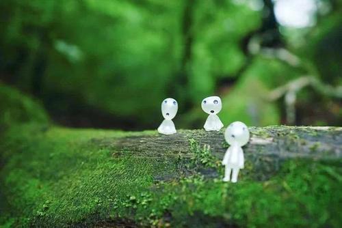 火了！这座小岛，宫崎骏、田馥甄、阮经天都去过！