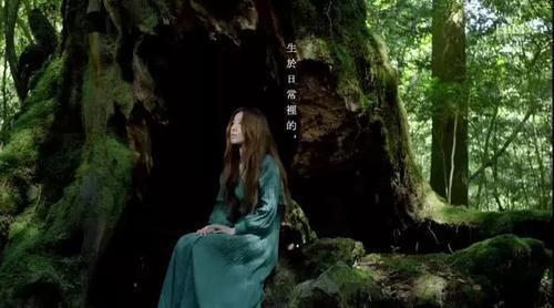 火了！这座小岛，宫崎骏、田馥甄、阮经天都去过！