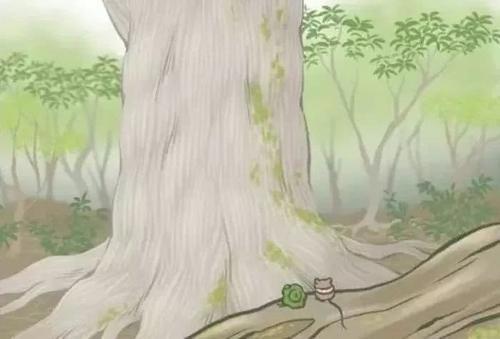 火了！这座小岛，宫崎骏、田馥甄、阮经天都去过！