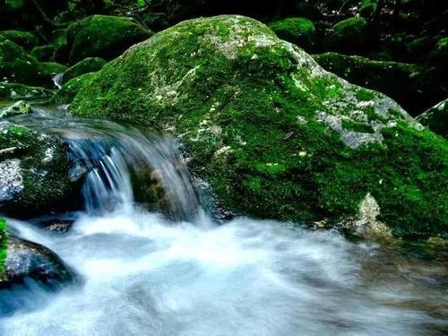 火了！这座小岛，宫崎骏、田馥甄、阮经天都去过！