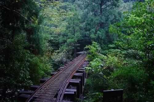 火了！这座小岛，宫崎骏、田馥甄、阮经天都去过！