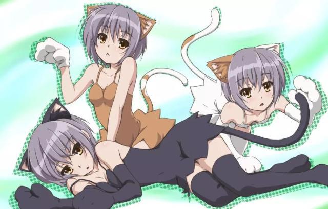 别看厕纸轻改动画了！这些必看轻改佳作，fate只是其中之一！