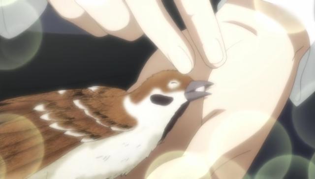 《在下坂本，有何贵干》优秀的人生活总是丰富精彩