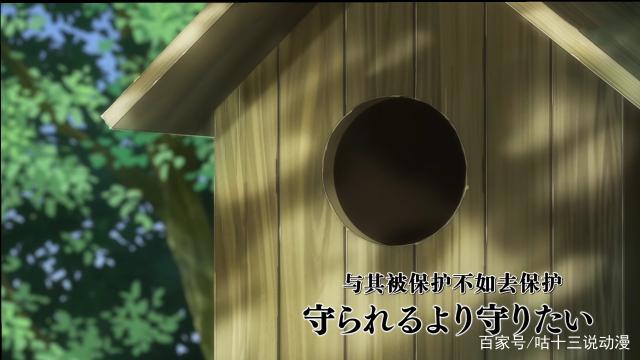 《在下坂本，有何贵干》：与其被保护，不如去保护