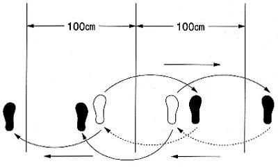 在下坂本，有何贵干，一拳超人，以及火影忍者中的反复横跳是什么