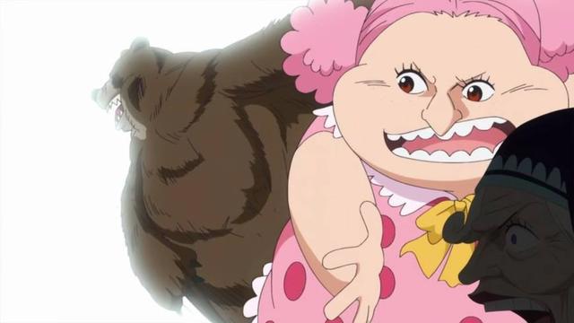 海贼王836：传说中的一拳打死熊来自5岁小女孩，修女曾经是大美女