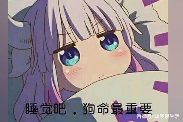 盘点B站上的那些搞笑动漫表情包