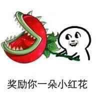 动画动漫真有必要分那么清楚吗