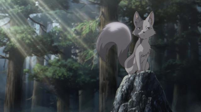 《百妖谱●灰狐》：40年，于妖，不过一粟；于人，却是已过半生