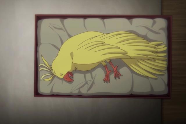 B站评分9.3分的《百妖谱》，真的值得一看！