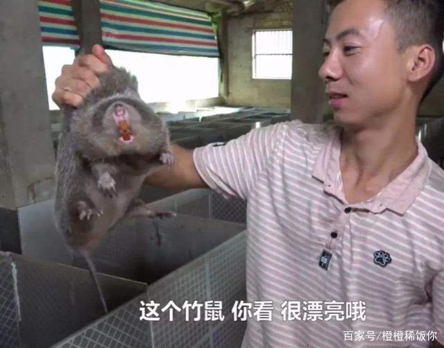 元龙动漫：穿越、特种兵、玄幻、异世界越看越上头，你还不追吗？