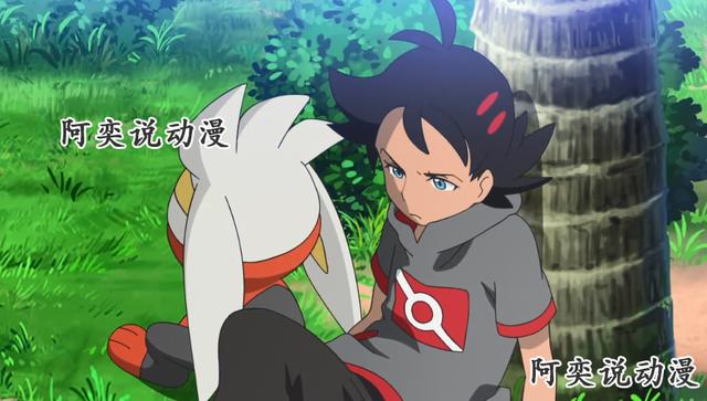 宝可梦旅途：闪焰王牌风评被害，网友更期待见到小智的路卡利欧！