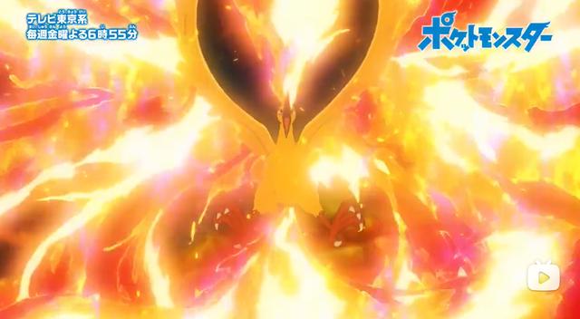 宝可梦旅途第68话：火焰鸟争夺战，小茂对战小豪！谁打赢就归谁！