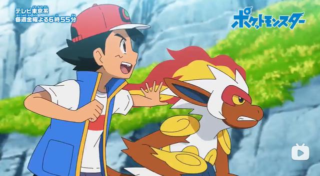 宝可梦旅途第68话：火焰鸟争夺战，小茂对战小豪！谁打赢就归谁！