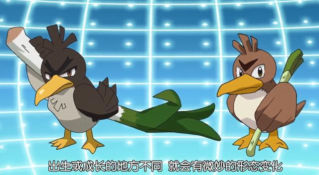 宝可梦旅途：小智这一季的精灵阵容，还会是六只吗？