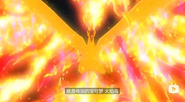 宝可梦旅途剧透：火焰鸟干得漂亮，以一敌三，凭实力摆脱小豪一球