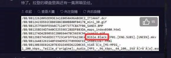 本拉登硬盘塞满小黄片，希特勒痴迷看动画！