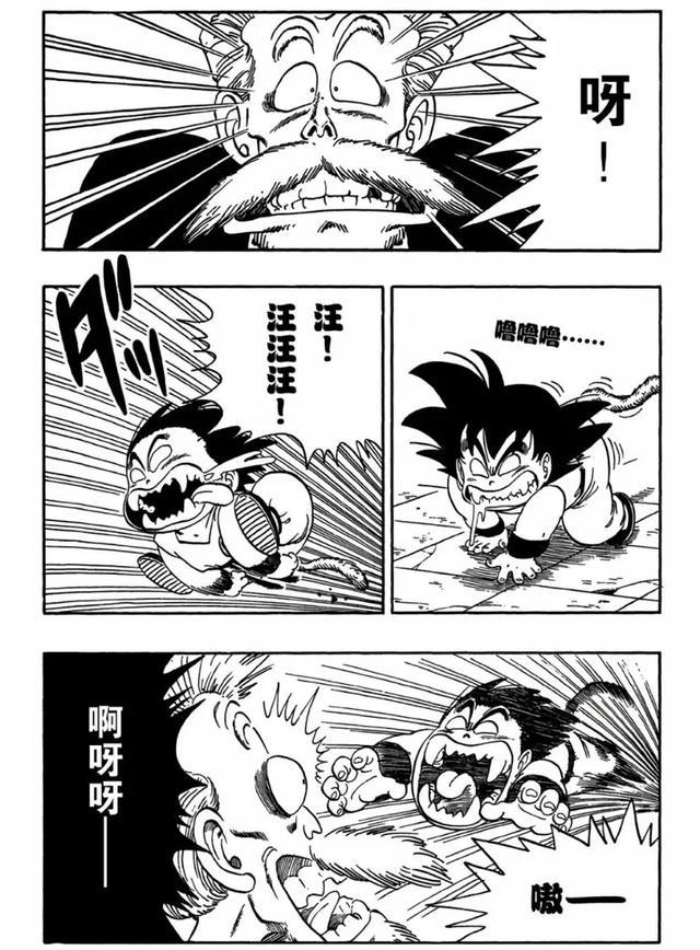 为什么龟仙人是武术之神？多种绝学加身，武术造诣让悟空受益一生