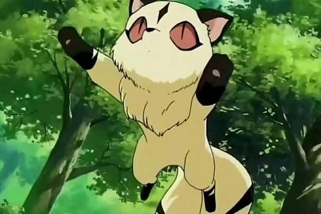 动漫里的奇怪宠物，唱校歌的芸豆、史上最强猪，还有猫娘和伪猫娘