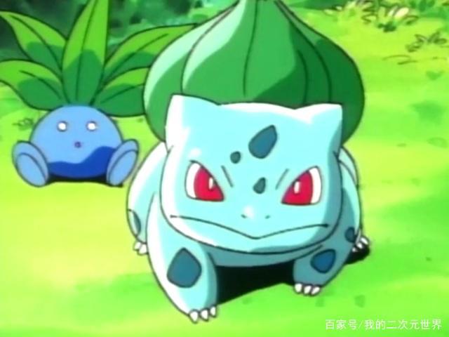 精灵宝可梦：小智收服御三家，除了真情，还有火箭队的神助攻