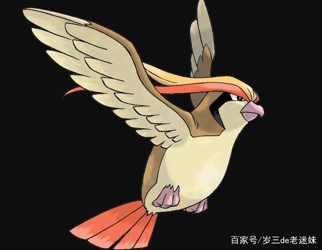 精灵宝可梦中小智曾经失去的8只神奇宝贝，杰尼龟的离去最为可惜