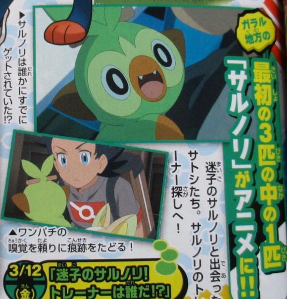 宝可梦旅途59话：编剧脑洞大开，上演一出小豪父母托梦送敲音猴？