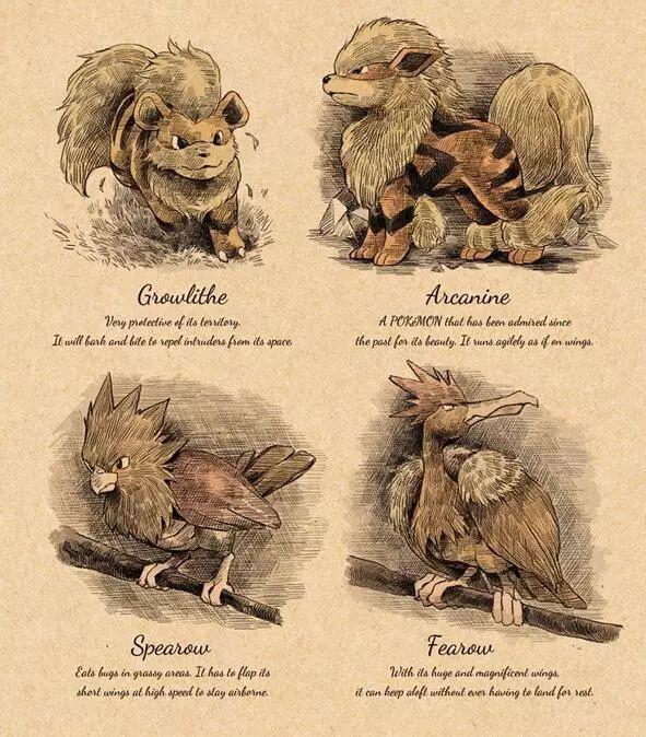 日本大神创作，百年前的精灵图鉴，当《精灵宝可梦》变成童话故事