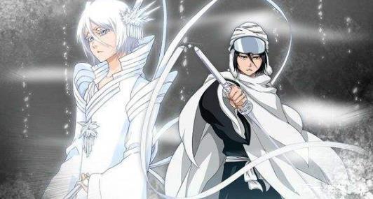 千年血战篇能否动画化，一直是死神粉非常关注的一件事