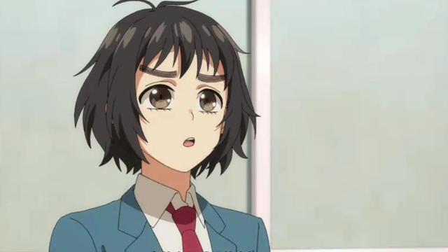 这部动漫虽然是青春校园剧，但意外的对人性的刻画很成功