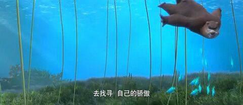 熊大、熊二都没它惹人喜爱《熊出没.奇幻空间》