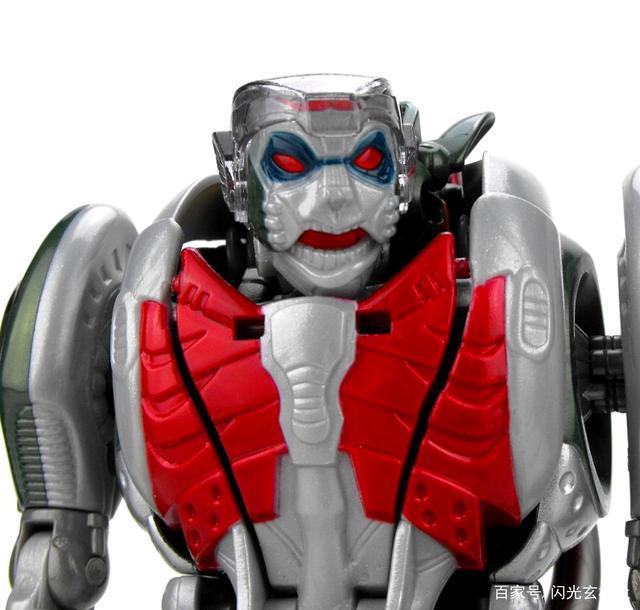 变形金刚动漫人物：猛兽侠剧情中角色个性奇特的老鼠勇士