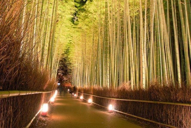 岁月熬不过柯南，这些取景地替我们珍藏童年