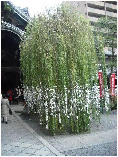 岁月熬不过柯南，这些取景地替我们珍藏童年