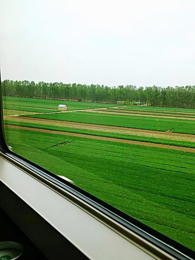 怎样的推理动画让人拍案叫绝？柯南动画鉴赏指南（后篇）