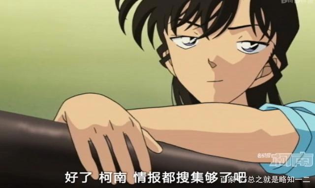 《名侦探柯南》中小兰一共怀疑了多少次怀疑柯南是新一？