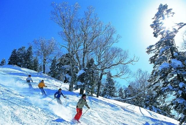 跟着电影去旅行：走进北海道旭川《名侦探柯南.沉默的十五分钟》