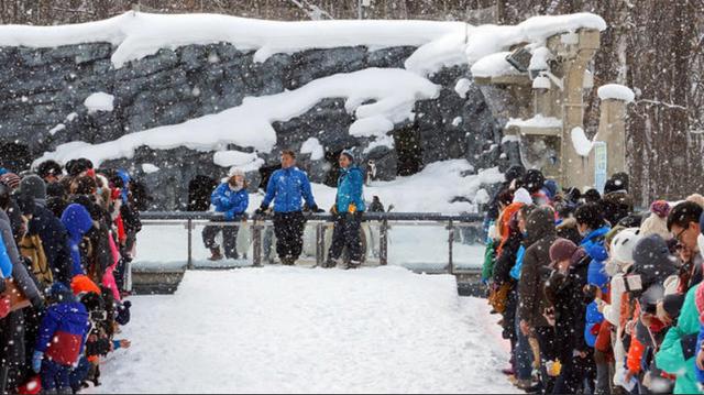 跟着电影去旅行：走进北海道旭川《名侦探柯南.沉默的十五分钟》