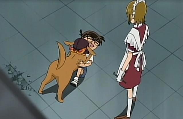 名侦探柯南：最幸运的狗，只因有好名字，怪盗基德冒生命危险救它