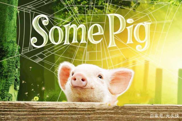 拒绝“无脑”动画片，看过这十部动画片，才有意义