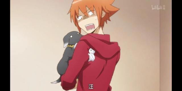 治愈系的小可爱，爱哭却很努力，萌化老夫的少女心！