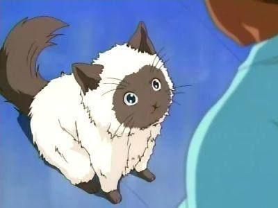 动画片中的萌宠，你知道几个？