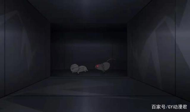 小木乃伊到我家：小小一只很可爱，但身体小也会很辛苦