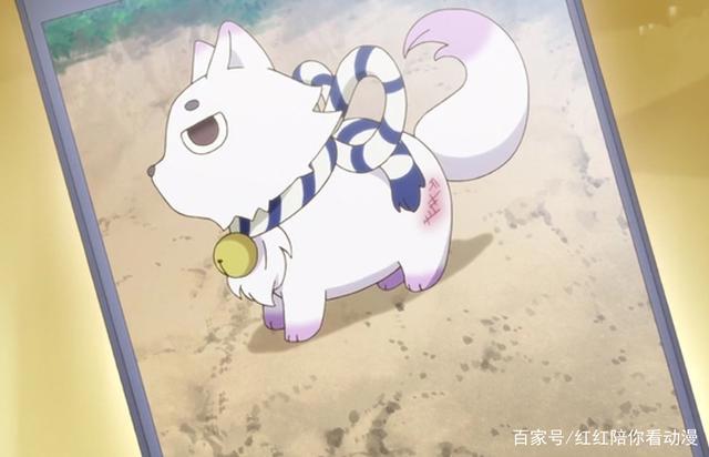 小木乃伊到我家：误闯祭典，柏木空舍身救大家，他月生气揍柏木空