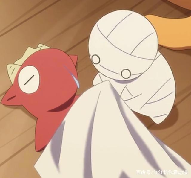 小木乃伊到我家：萌宠小伊的可爱瞬间，萌到爆炸有木有？（图集）