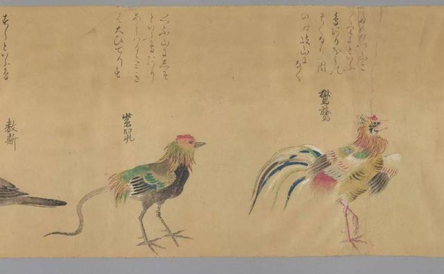 神隐山海经（5）｜不仅仅是九尾狐日本很多妖怪都“起源”于《山海经》