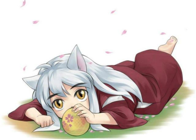 这几只小狐狸，苏苏天然萌，巴卫反差萌，乱入犬夜叉我就先抱走啦